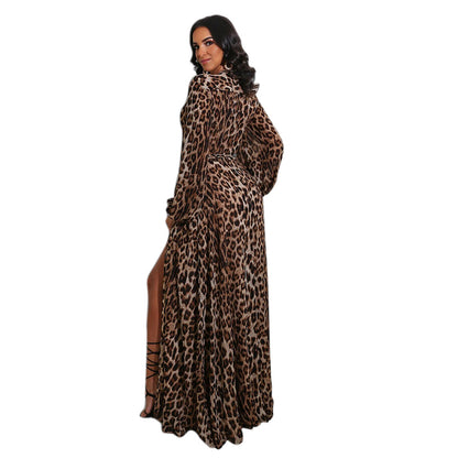 Leopard Print V-Neck Nightclub Dress